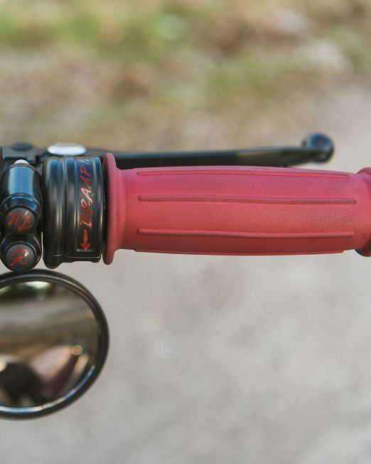 Grips